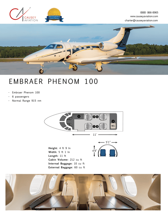 Phenom-100